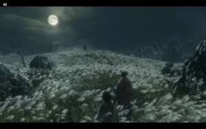 Sekiro